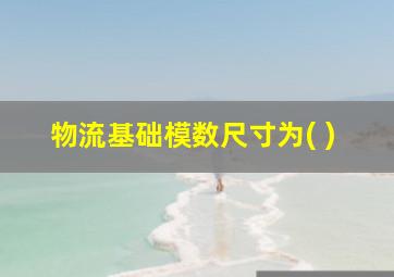 物流基础模数尺寸为( )